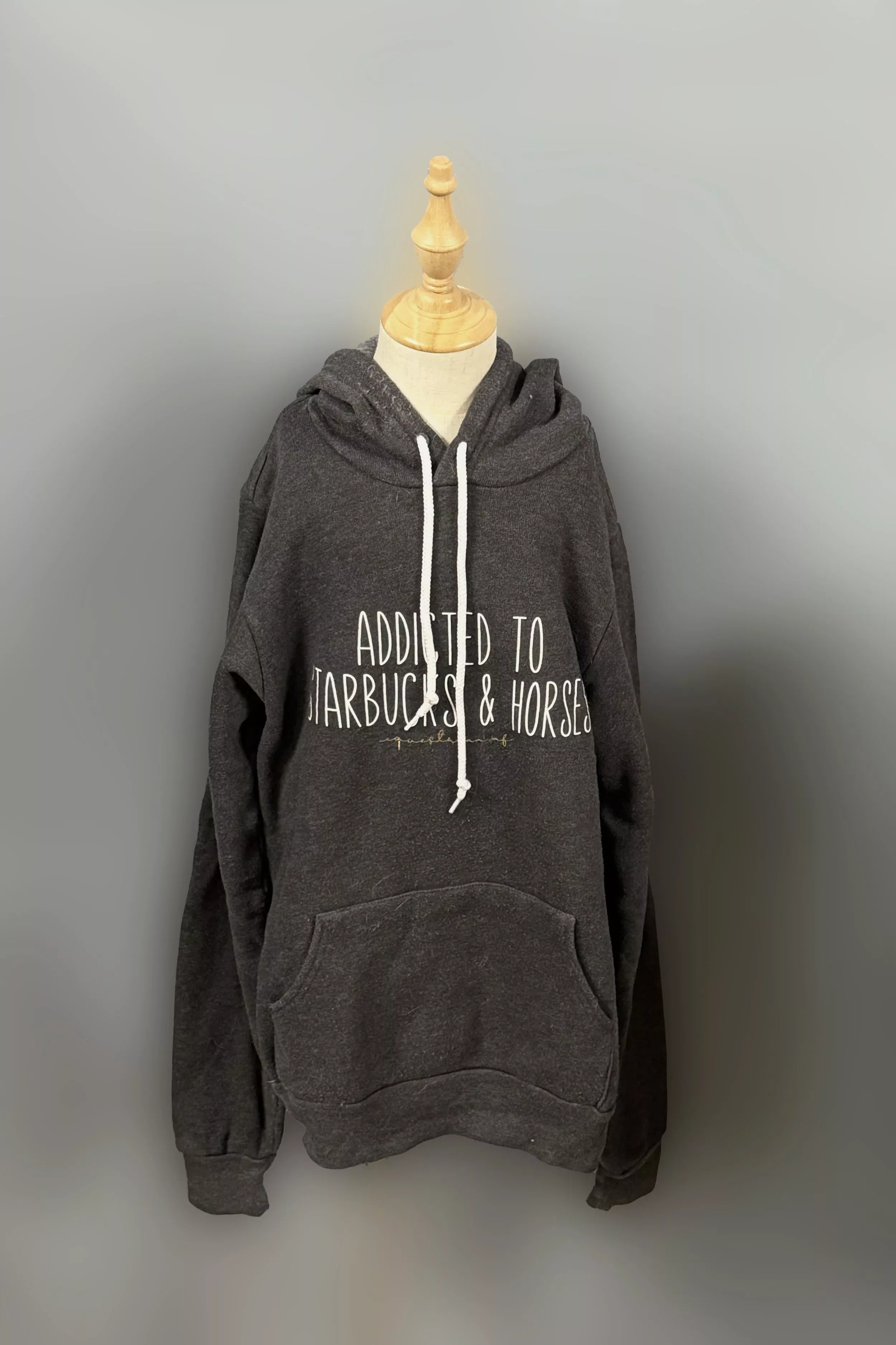 "Addicted To Starbucks & Horses" Hoodie In Grey - XS