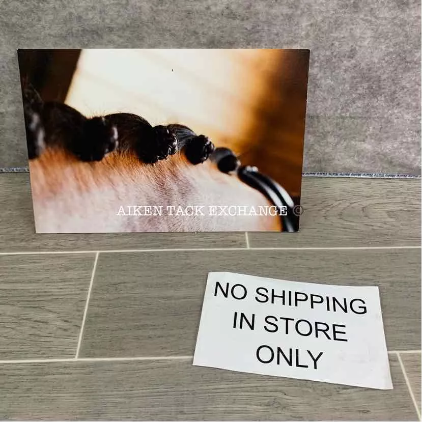Decorative Mounted Equine Photography (8x12)